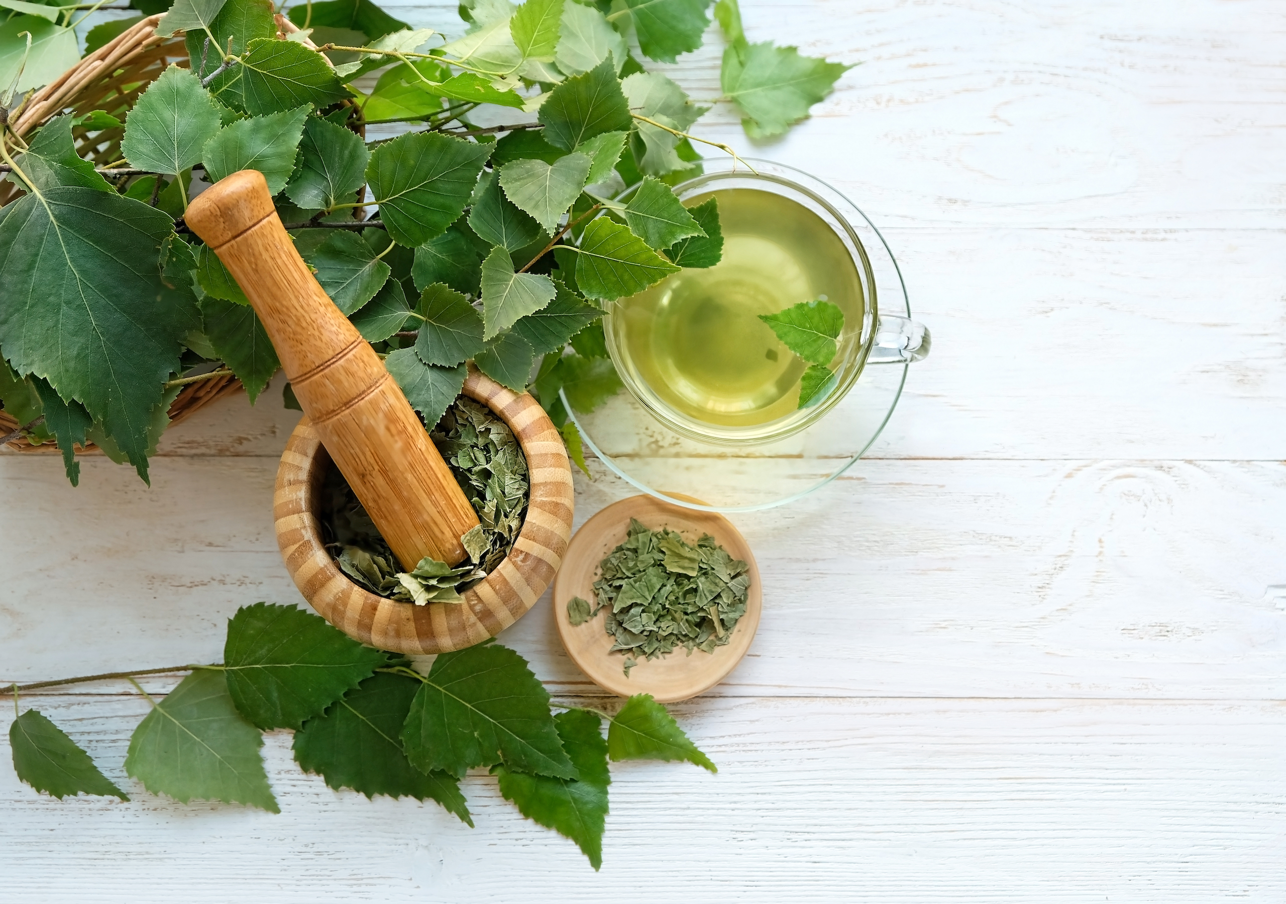 birkenblatt-1951440895