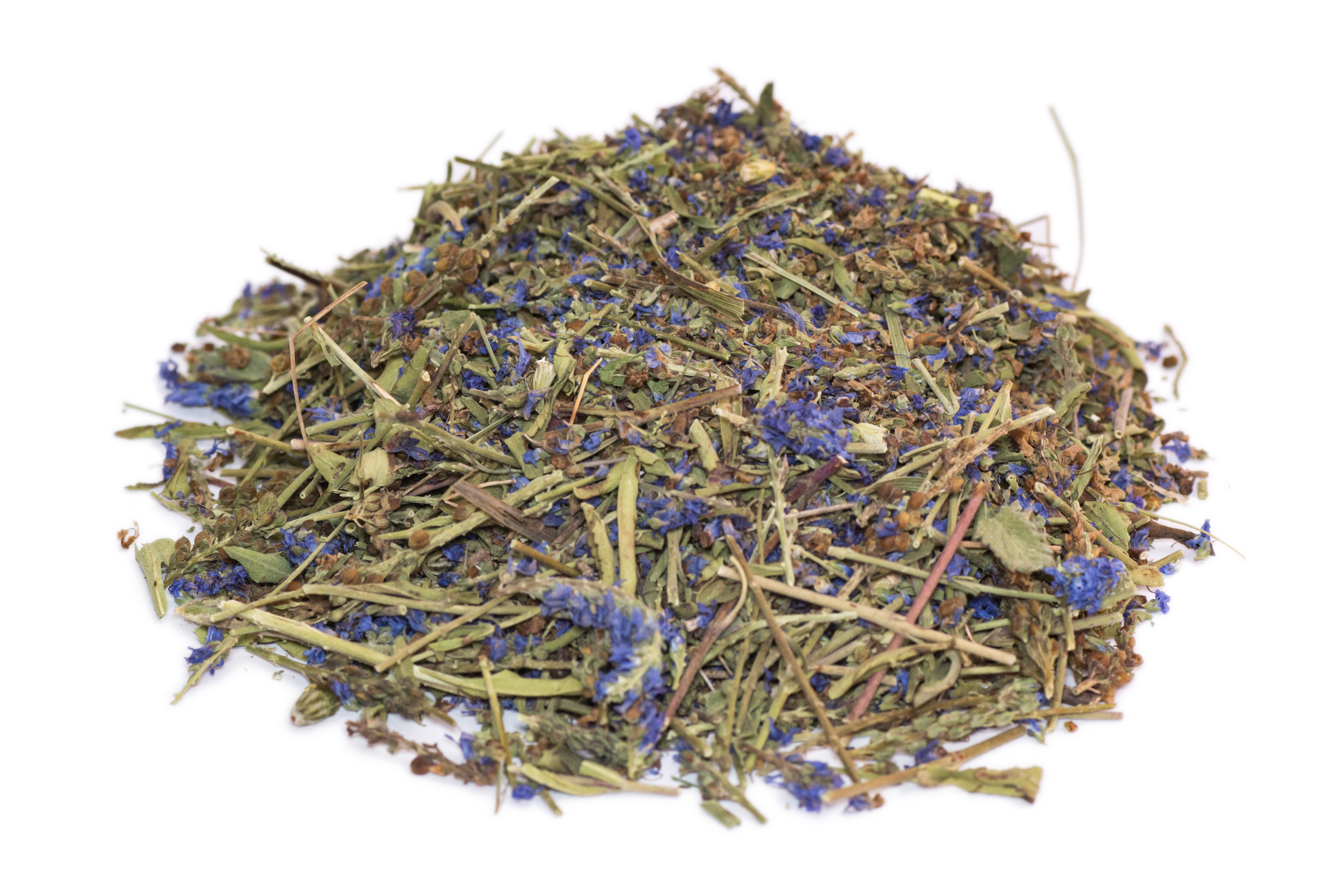 ehrenpreiskraut-1164065533