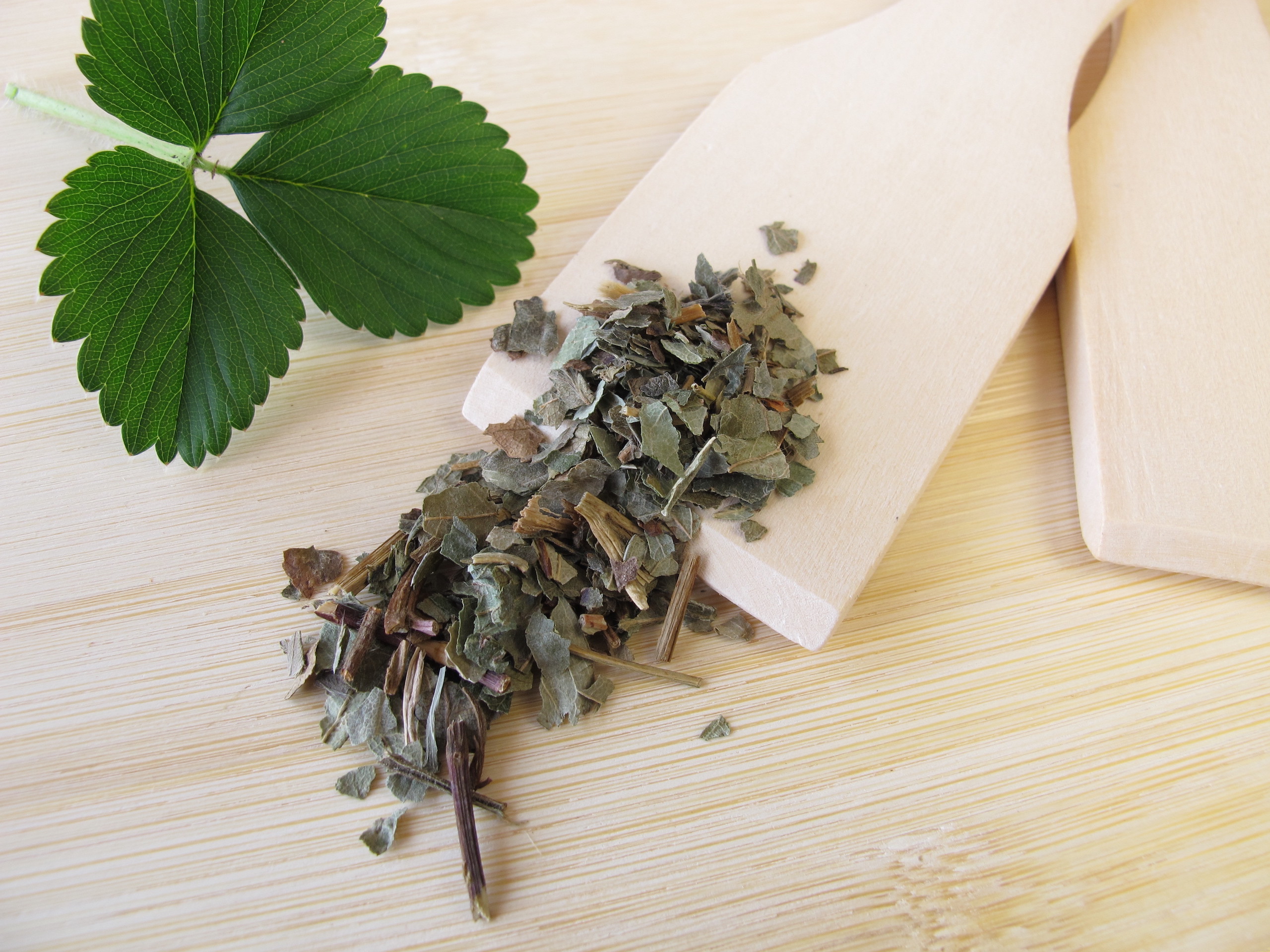 erdbeerblatt-100242125