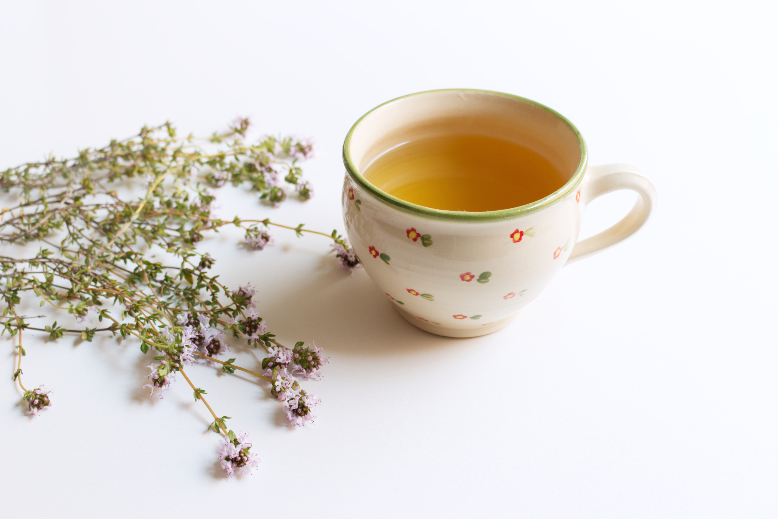 feldthymian-1897534363