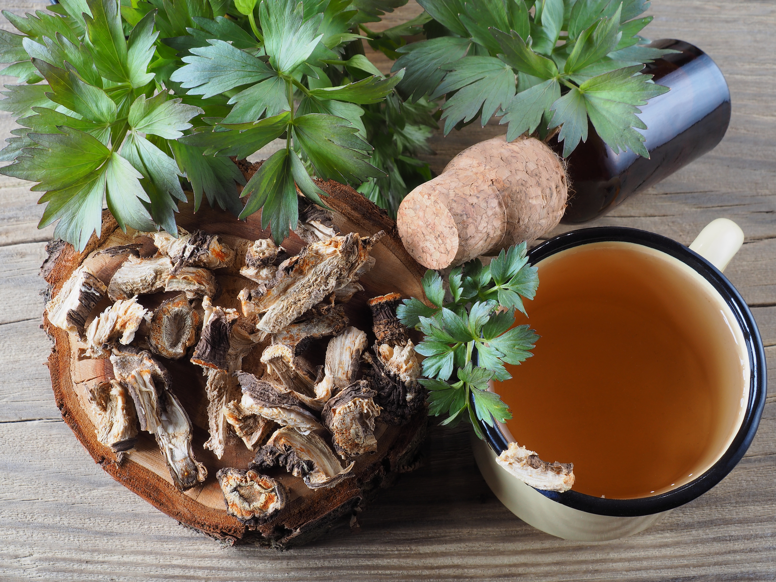 liebstoecklwurzel-1972342823