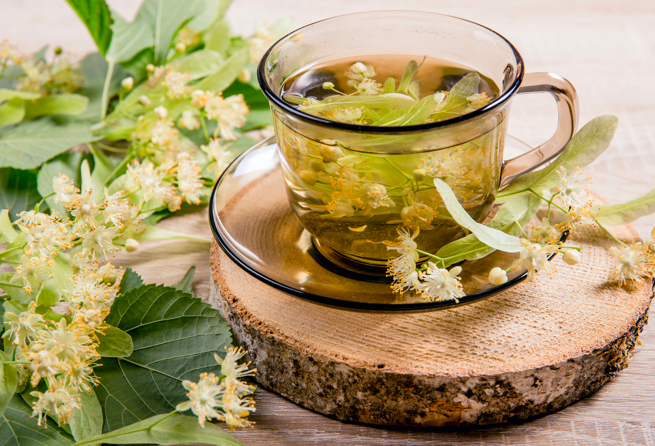 lindenbluete-1773007073