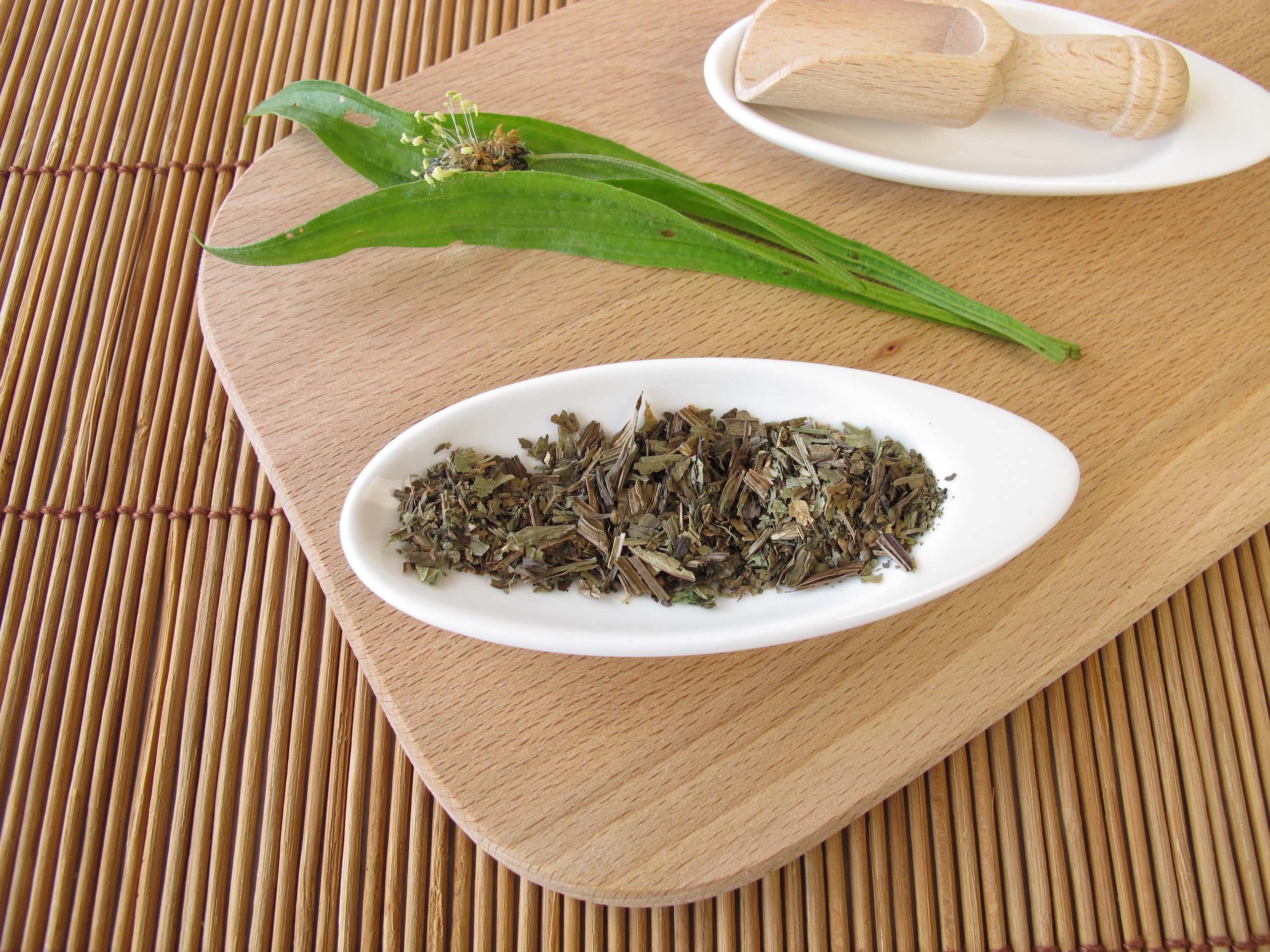 spitzwegerichblatt-105752726