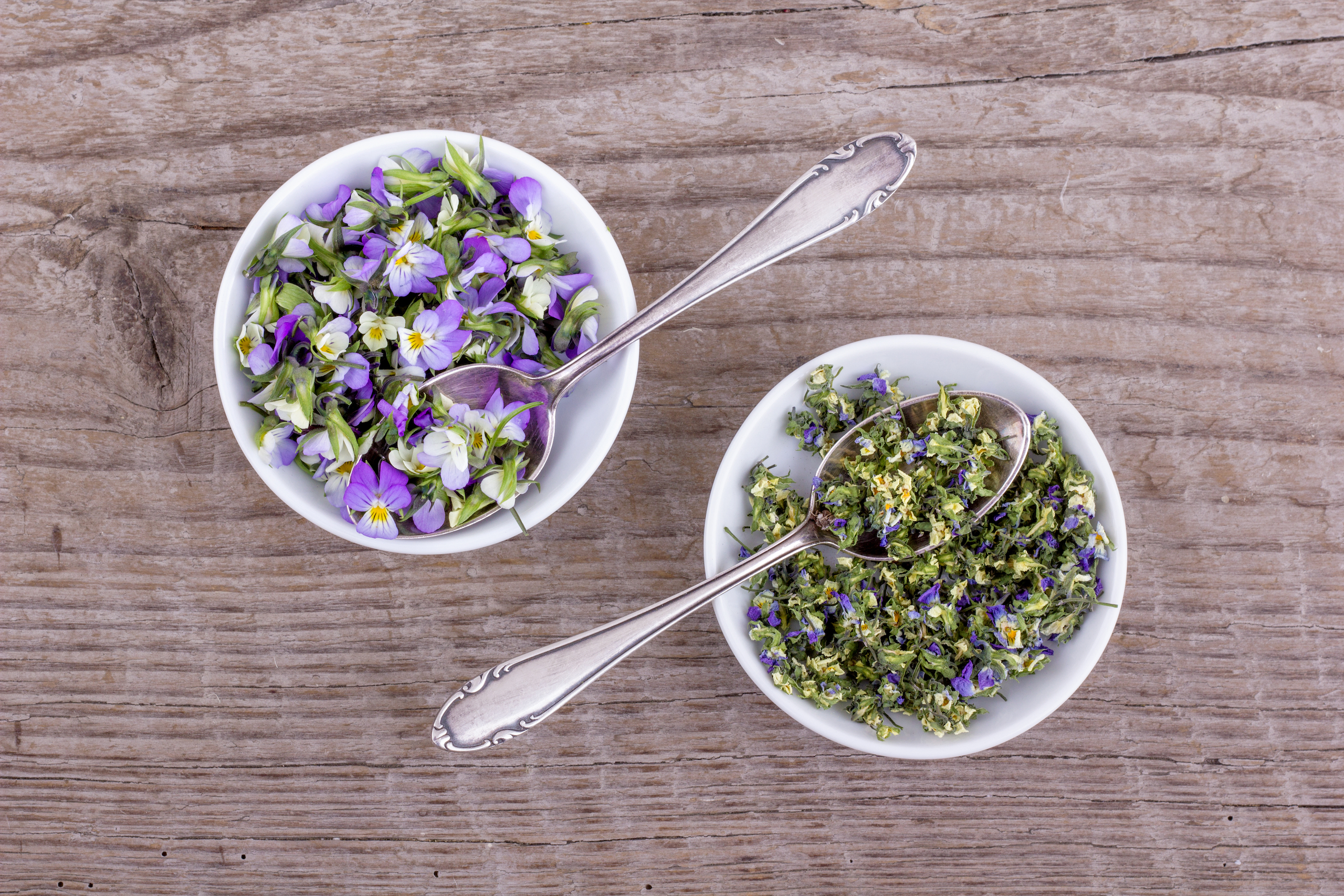 stiefmuetterchenkraut-1026629635