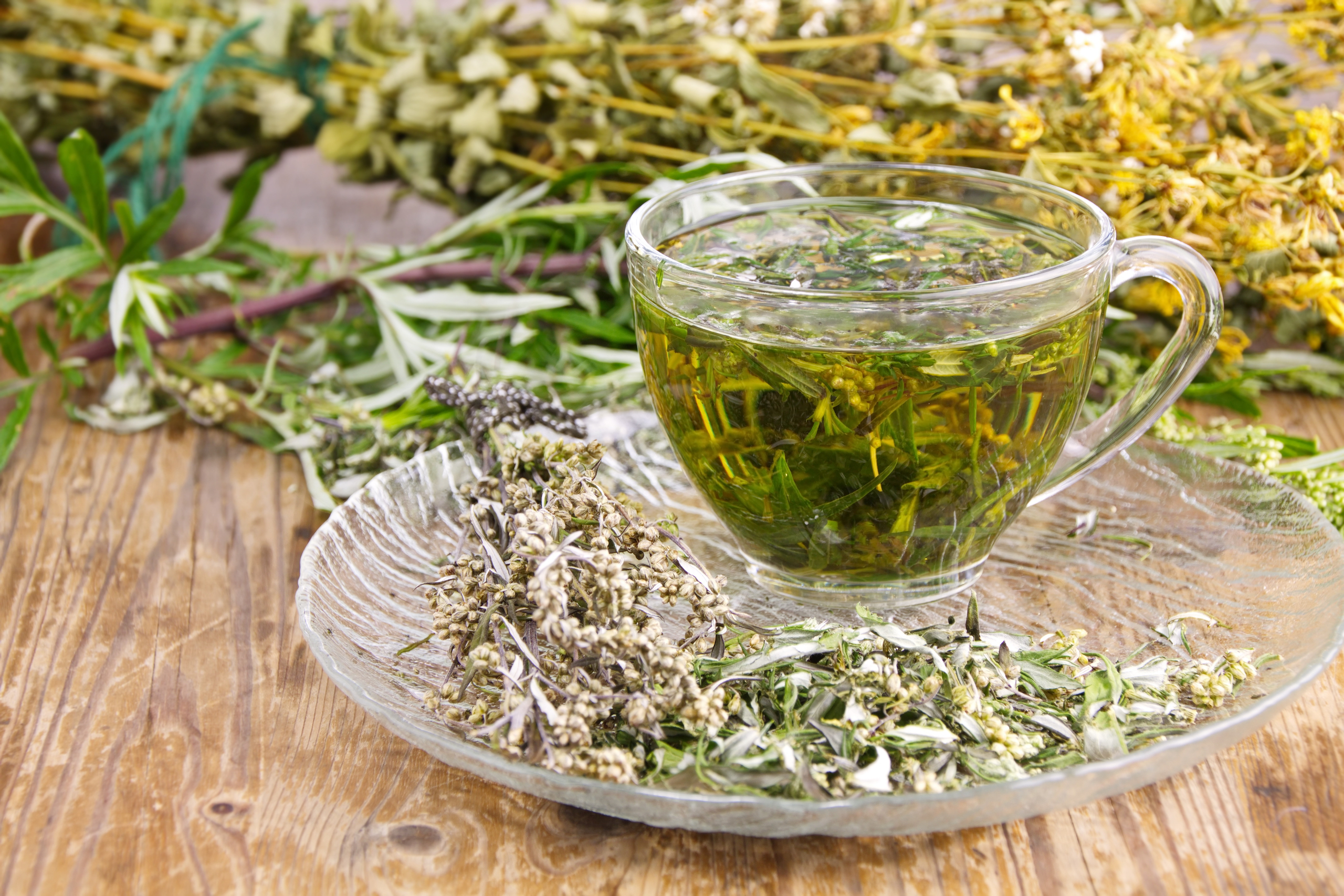 wermutkraut-2014454138